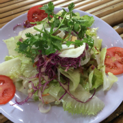 Salad trộn dầu dấm