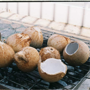 Dừa nướng trên lửa than, nướng thủ công từng trái đặng biết đường trở lửa cho dừa « chín »