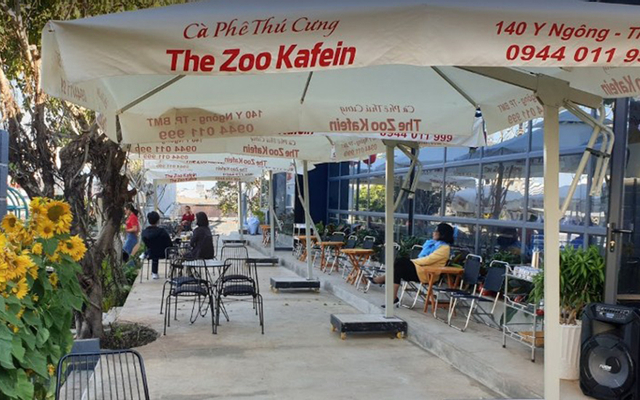 The Zoo Kafein