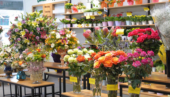 Dalat Hasfarm Flower Shop - Takashimaya
