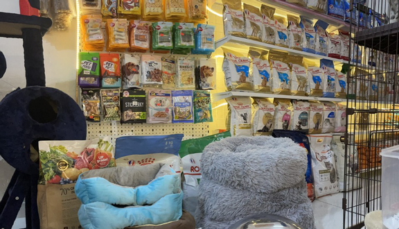 Ben's Pet Shop - Mua Bán Chó Mèo, Thức Ăn & Phụ Kiện - Châu Thị Vĩnh Tế
