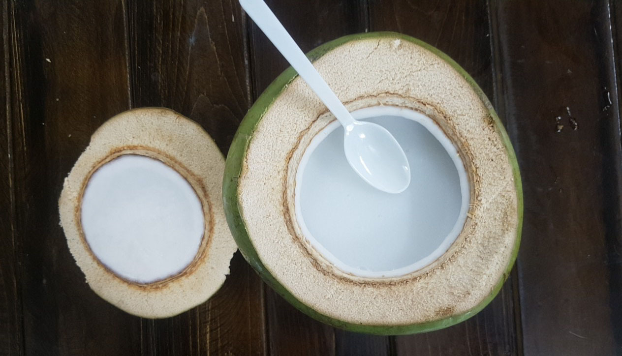 5 loại dừa siêu độc, lạ nhất đất Việt