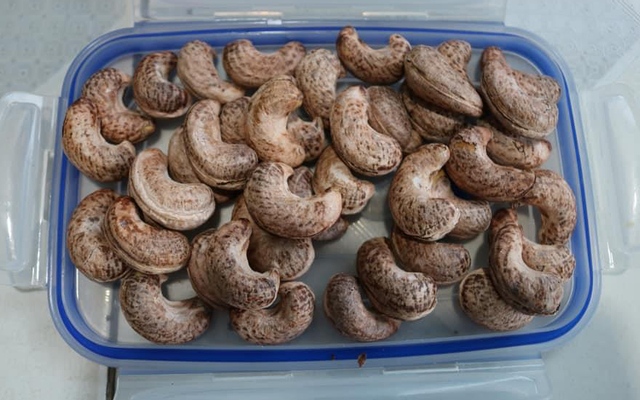 Hạt Điều Rang Muối Bình Phước - Cashew Nuts Habushop