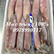 Mực 100% trứng size 18-22 con/kg