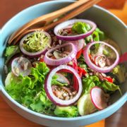 Salad Chickita (95k)