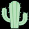 Cactus AZN