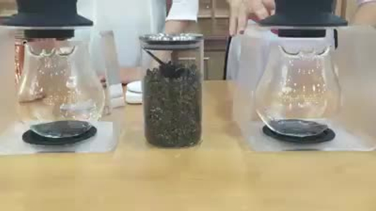 Thưởng thức cách pha trà độc đáo bằng Tea dripper largo