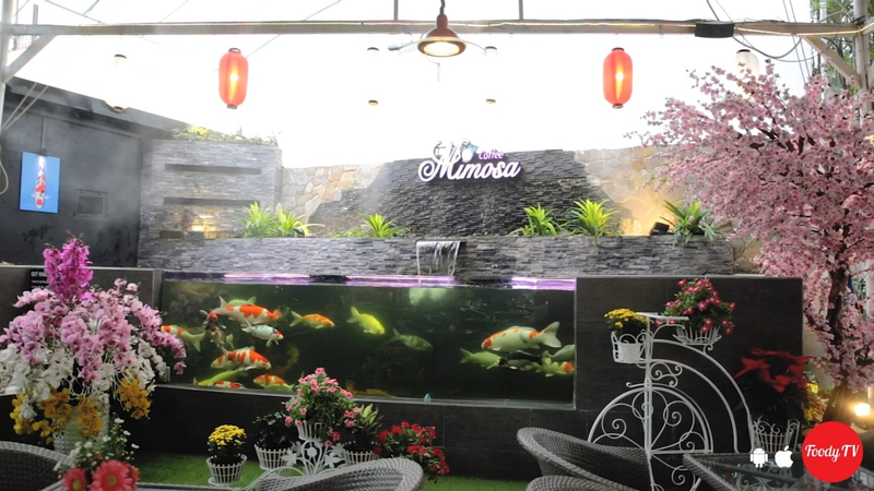 Trốn nắng Sài Gòn ở "QUÁN CAFE SÂN VƯỜN" có hồ cá Koi siêu xinh
